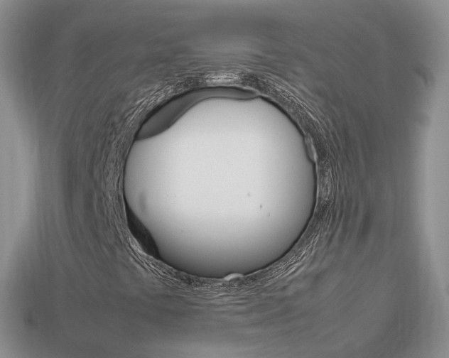 X0000113751441200909230956