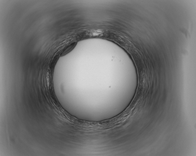 X0000113751442200909230956
