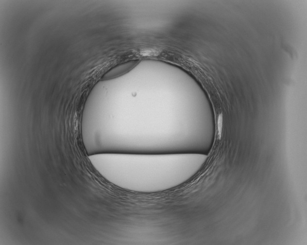 X0000113751443200909230956