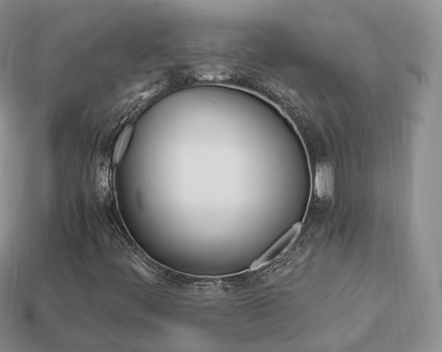 X0000113751444200909230956
