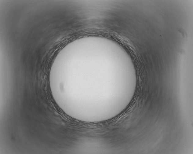 X0000113751445200909230956