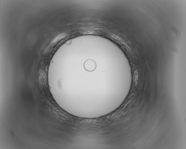 X0000113751446200909230956