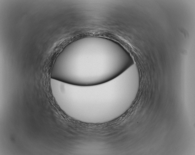 X0000113751447200909230956