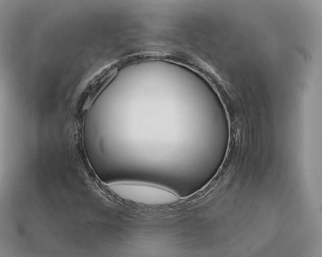 X0000113751448200909230956