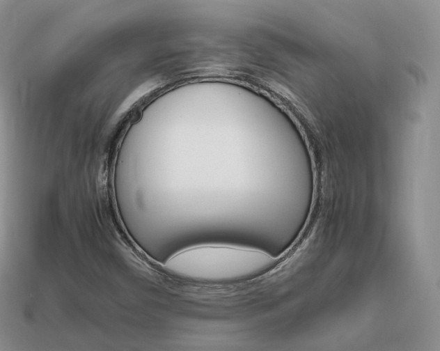 X0000113751450200909230956