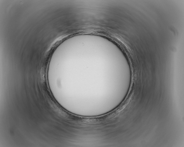X0000113751451200909230956