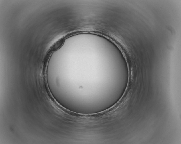 X0000113751452200909230956