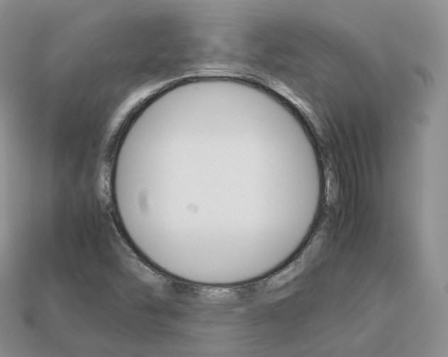 X0000113751454200909230956