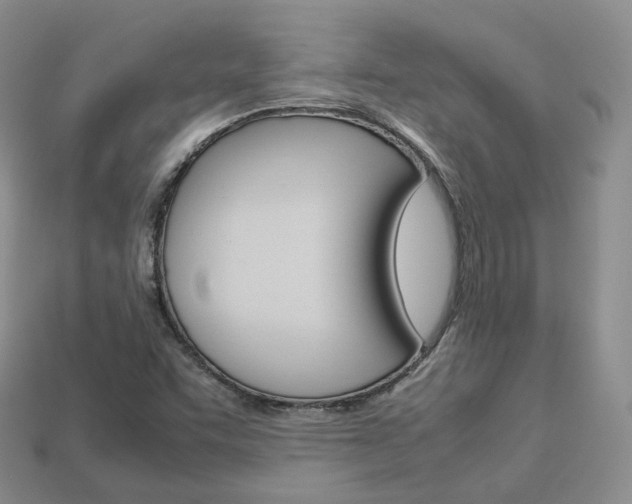 X0000113751455200909230956