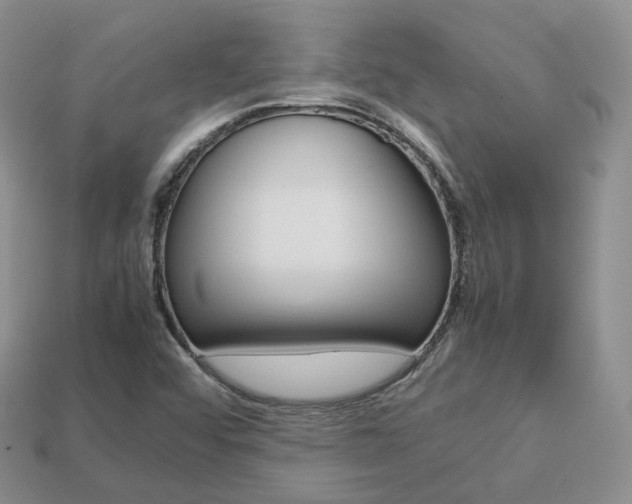 X0000113751456200909230956