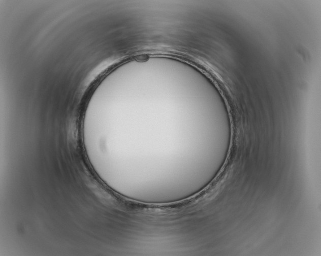 X0000113751458200909230956