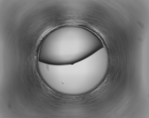 X0000113751459200909230956