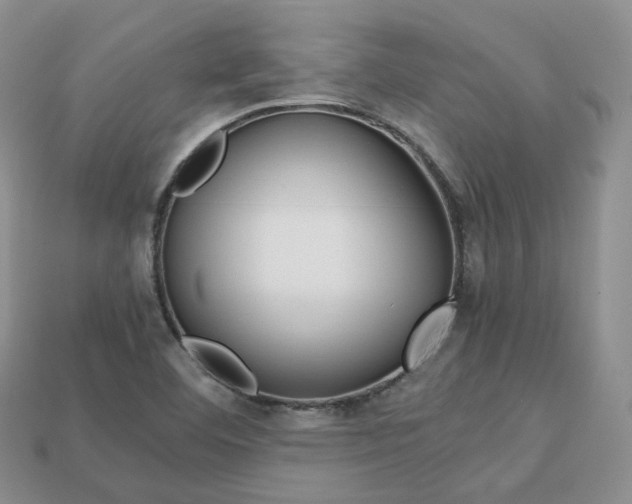 X0000113751460200909230956