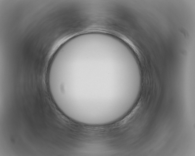 X0000113751461200909230956