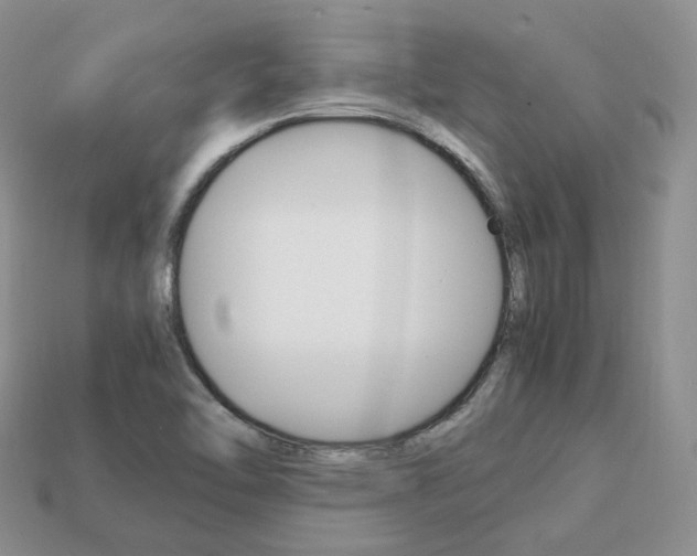 X0000113751462200909230956