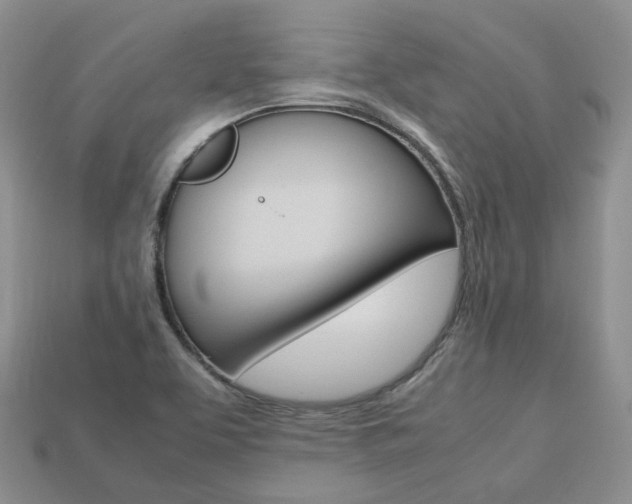 X0000113751463200909230956