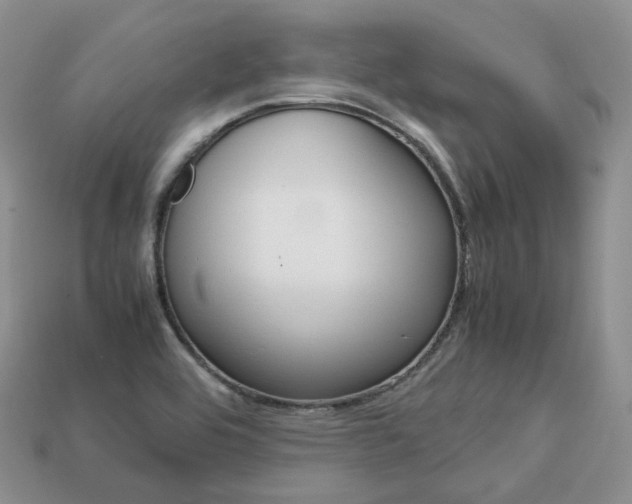 X0000113751464200909230956