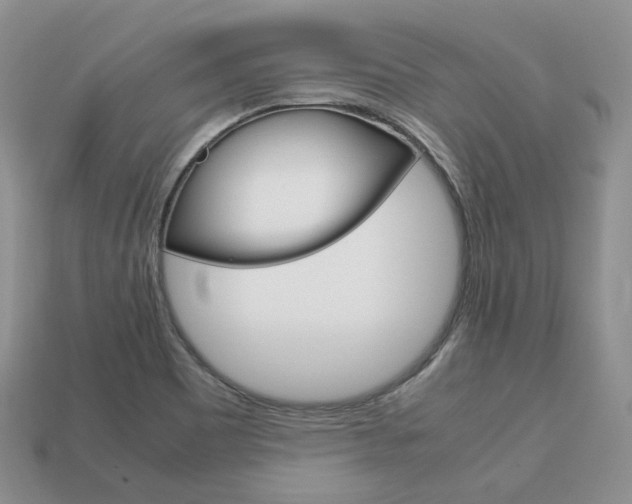 X0000113751465200909230956