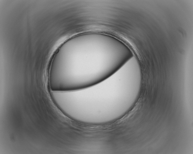X0000113751467200909230956