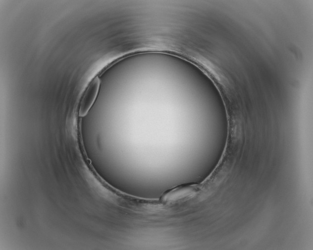 X0000113751468200909230956