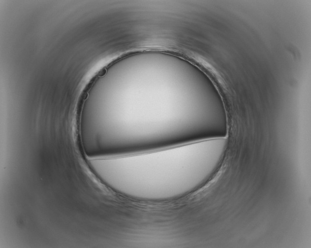 X0000113751469200909230956