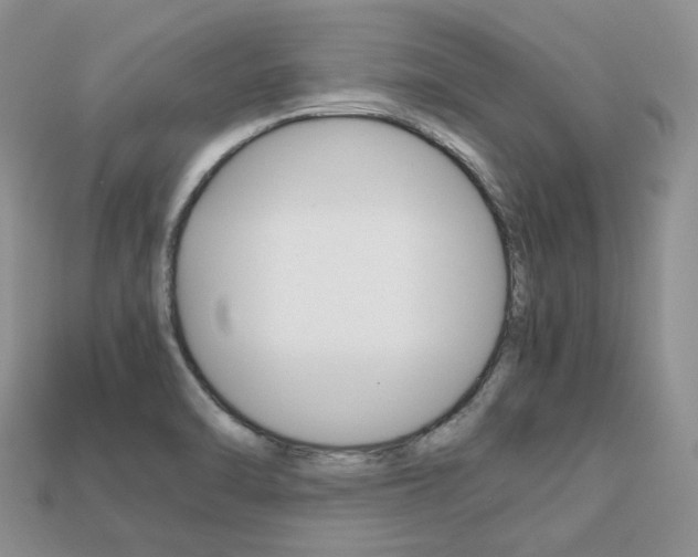 X0000113751470200909230956