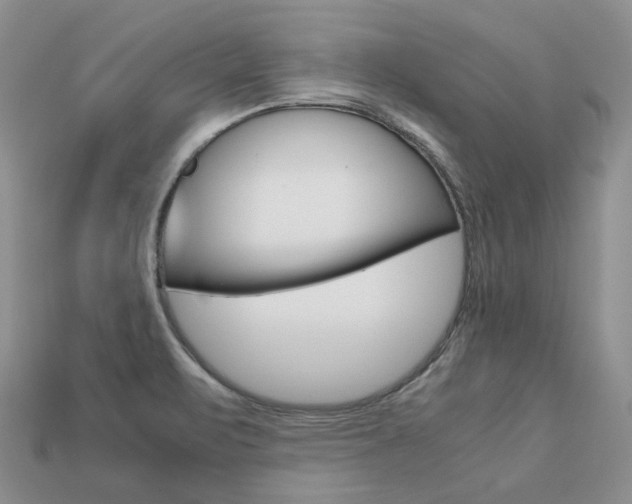 X0000113751471200909230956