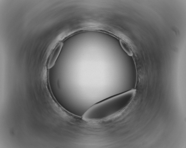 X0000113751472200909230956