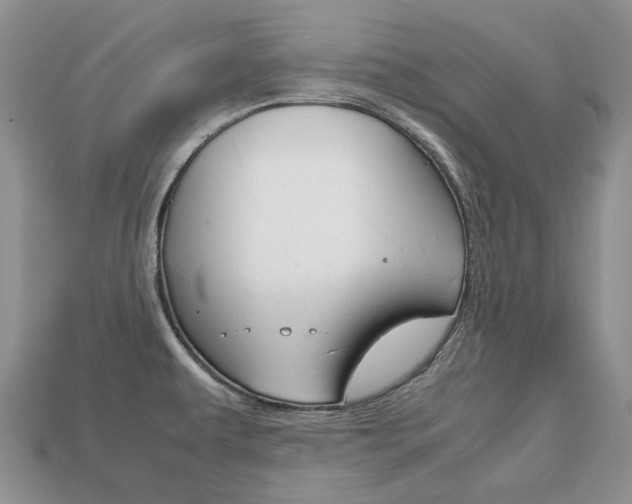 X0000113751479200909230956