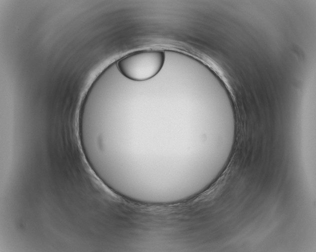 X0000113751480200909230956
