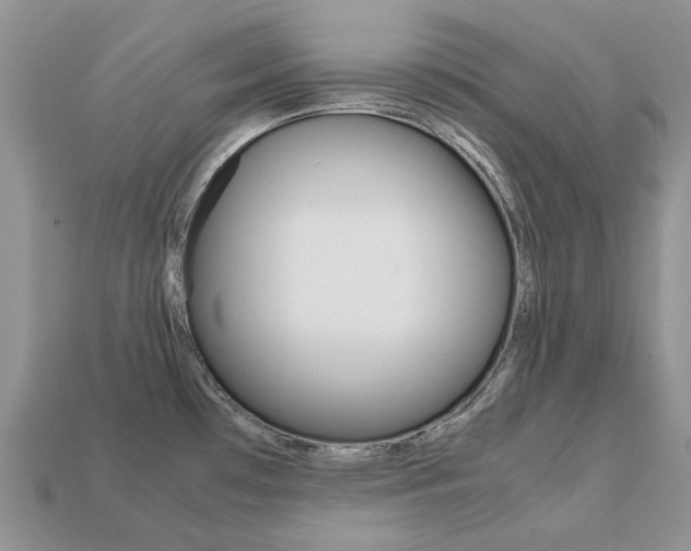 X0000113751481200909230956