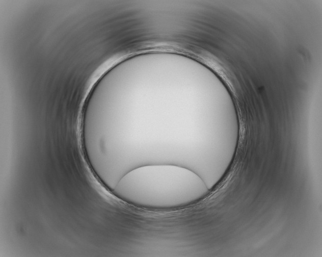 X0000113751482200909230956