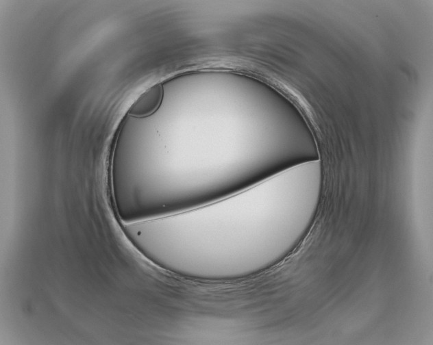 X0000113751483200909230956