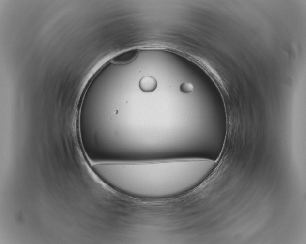 X0000113751484200909230956