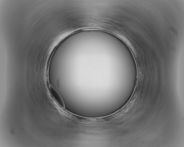 X0000113751485200909230956