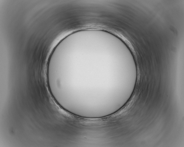 X0000113751486200909230956
