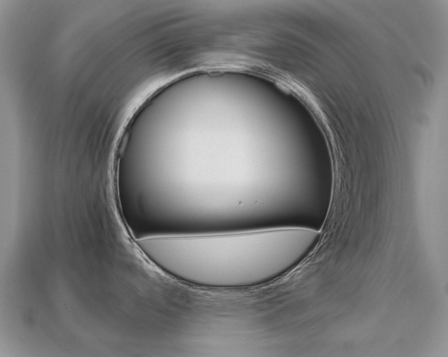 X0000113751488200909230956