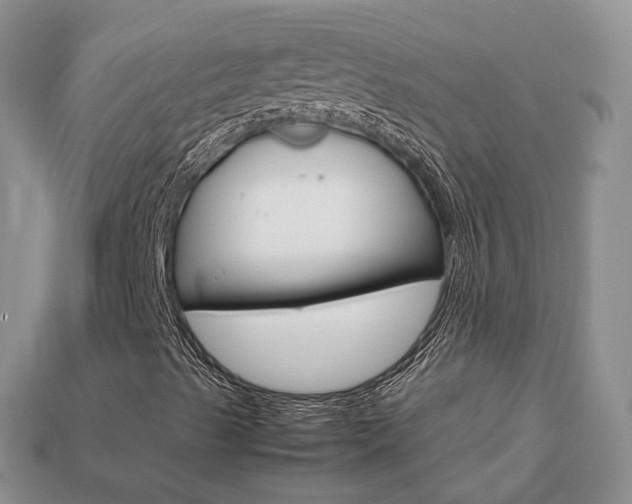 X0000113751489200909230955