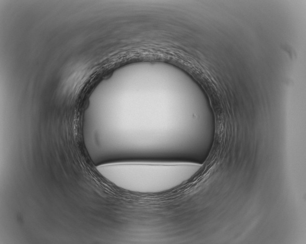 X0000113751490200909230955