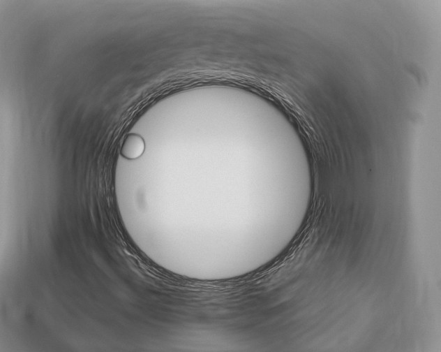 X0000113751492200909230955
