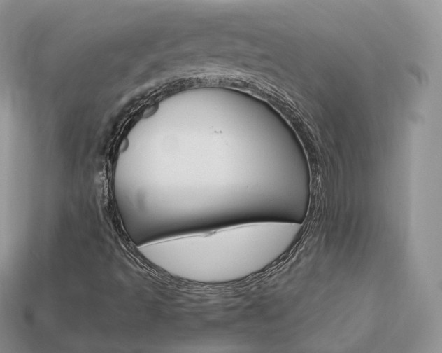X0000113751493200909230955