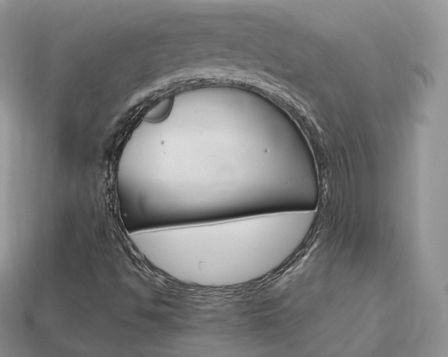X0000113751494200909230955