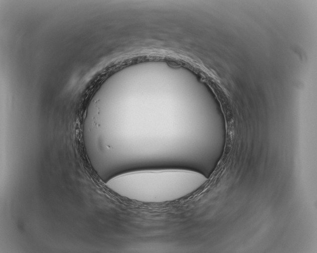 X0000113751495200909230955