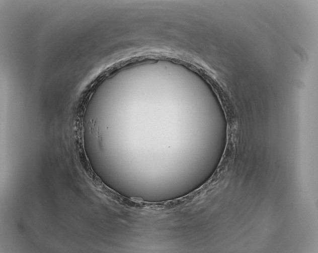 X0000113751496200909230955