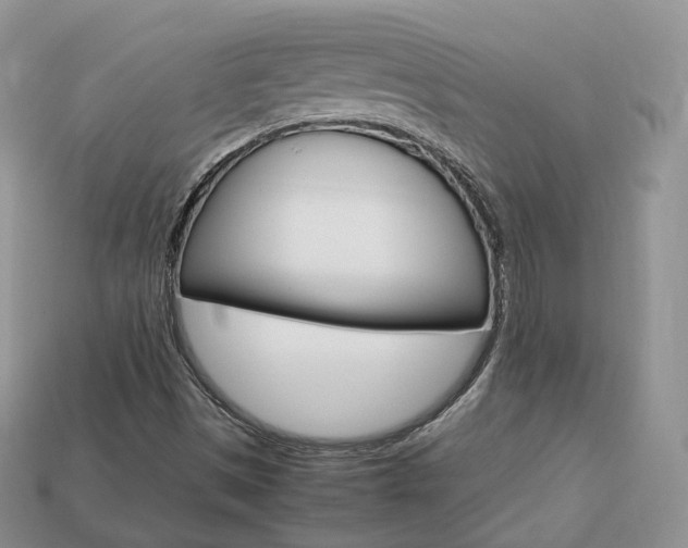 X0000113751497200909230955
