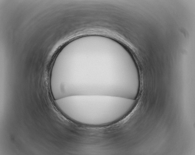 X0000113751498200909230955