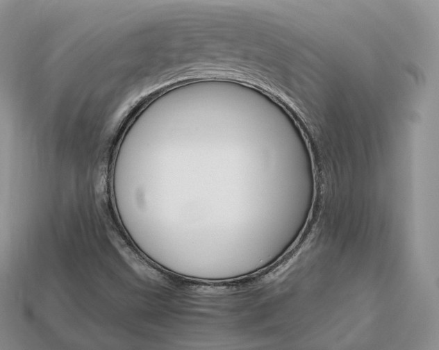 X0000113751499200909230955