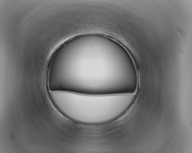 X0000113751500200909230955