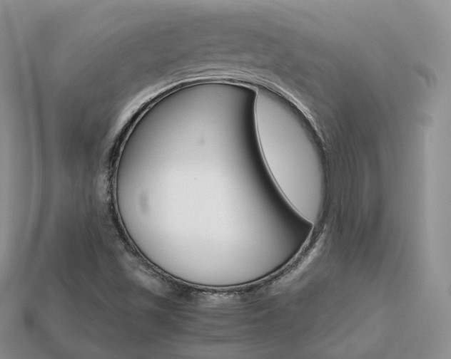 X0000113751501200909230955