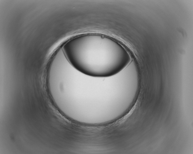 X0000113751502200909230955